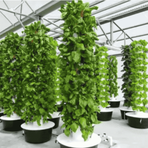 6 Tower Micro Farm