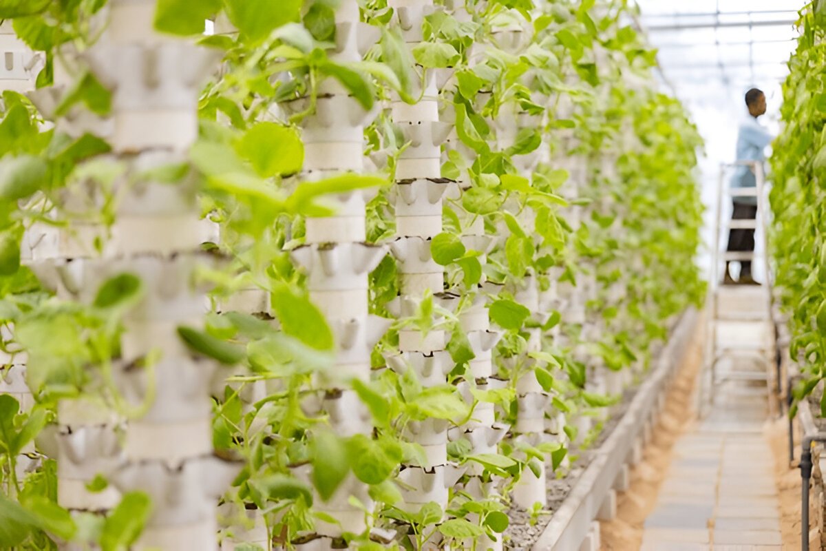 Indoor Garden Towers Canada