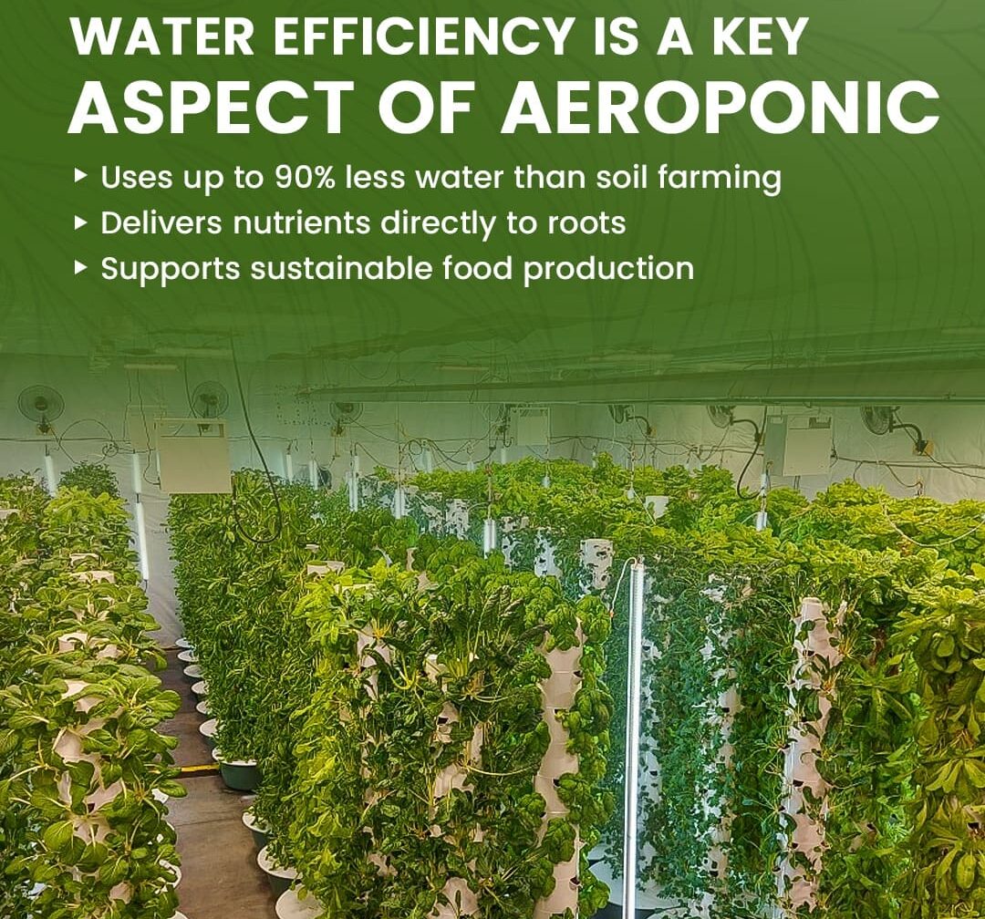 Commercial Hydroponics f
